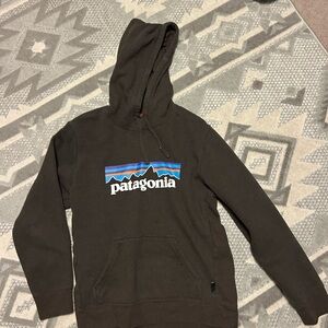 Patagonia Dark Brown Hoodie for Men